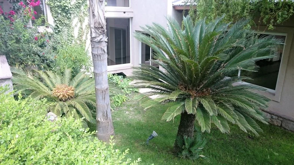 Casa en Venta en Godoy Cruz, Mendoza - USD 420.000 | Inmoup - 6