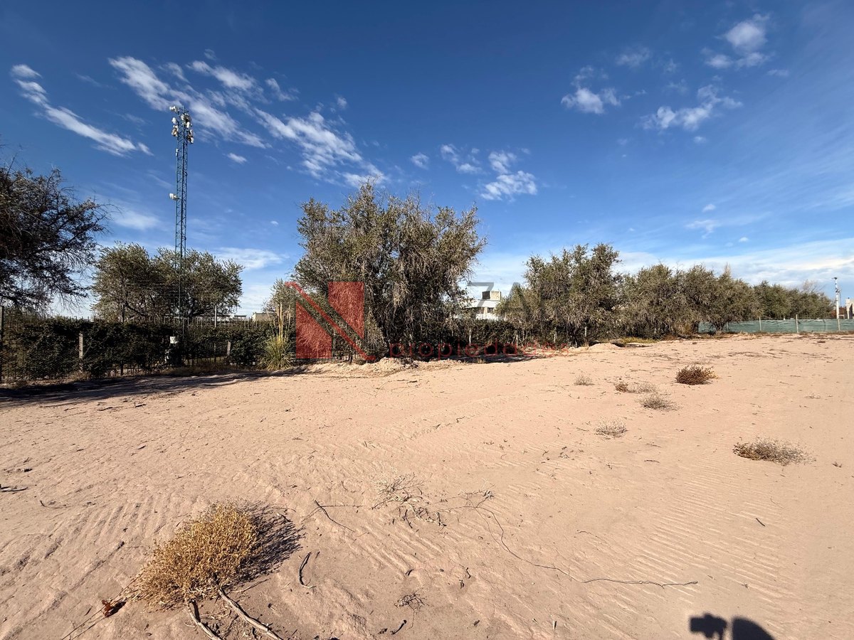Lote en Venta en Lujan de Cuyo, Mendoza