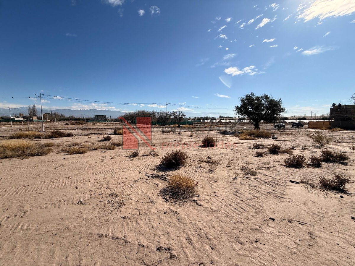 Lote en Venta en Lujan de Cuyo, Mendoza